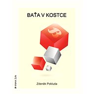 Baťa v kostce - Zdeněk Pokluda