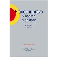 Pracovní právo v bodech s příklady - Petr  Hůrka