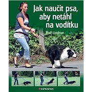 How to teach a dog not to pull on the leash - Ralf Lindner
