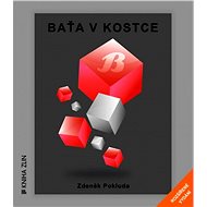 Baťa v kostce - Zdeněk Pokluda