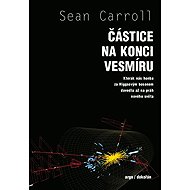Particles at the end of the universe - Sean Carrol