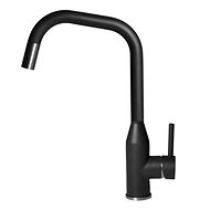 Elleci Lever mixer with shower Dora Plus, black - Tap