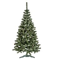 Sonic Christmas tree NATURAL Cone 100 × 90 cm, fir - Christmas Tree