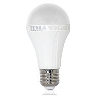 TESLA LED 15W E27 - LED Bulb