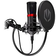 Endorphs Streaming - Microphone