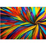 ENJOY Puzzle Colored feathers 1000 pieces - Jigsaw Puzzle