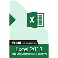 MS Excel 2013 Training Course Lifetime License (electronic license) - Electronic License