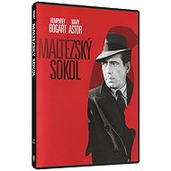Maltese Falcon (DVD) - DVD Film