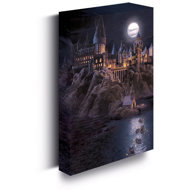 Harry Potter - Hogwarts Castle, 30 × 40 cm - LED lighted image - Painting
