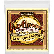 Ernie Ball 2010 .009-.046 12 Strings - Strings