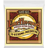 Ernie Ball 2012 .011-.052 12 Strings - Strings