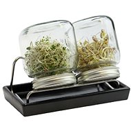 Eschenfelder II 750 ml germination jar anthracite - Seed Starting Tray