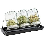 Eschenfelder III 750 ml germination jar anthracite - Seed Starting Tray