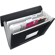 ESSELTE VIVIDA A4 with compartments, black - Document Folder