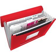 ESSELTE VIVIDA A4 with compartments, red - Document Folders