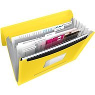 ESSELTE VIVIDA A4 with compartments, yellow - Document Folders