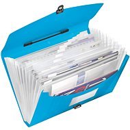 ESSELTE Vivida with compartments and clasp, blue - Document Folders