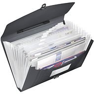 ESSELTE Vivida with compartments and clasp, black - Document Folders