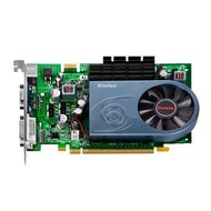 Leadtek WinFast PX9500GT 1GB DDR2 - Graphics Card