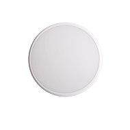 Eurakles LED work light Dalia IP54 22 W 2000 lm 4000 K white - LED Light