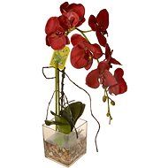 EverGreen® Orchid in Glass with Acrylic, Height of 56cm, Red colour - Artificial Flower