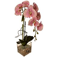 EverGreen® Orchid in Glass with Acrylic, Height of 56cm, Pink Colour - Artificial Flower