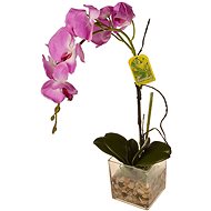 EverGreen® Orchid in Glass with Acrylic, Height of 56cm, Colour of Purple - Artificial Flower