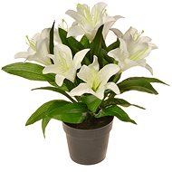 EverGreen Lily in a Pot, Height of 30cm, White Colour - Artificial Flower