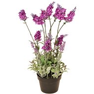EverGreen Lavender 16 Flowers in a Pot, Height of 38cm, Crimson Colour - Artificial Flower