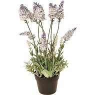 EverGreen Lavender 16 Flowers in a Pot, Height of 38cm, White Colour - Artificial Flower