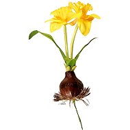 EverGreen Daffodil with Bulb, Height of 25cm, Colour Yellow - Artificial Flower