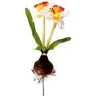 EverGreen Daffodil with Bulb, Height of 25cm, Colour White-gold - Artificial Flower