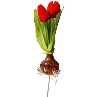 EverGreen Tulip with Bulb, Height of 25cm, Colour Red - Artificial Flower