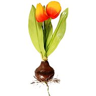 EverGreen Tulip with Bulb, Height of 25cm, Colour Orange-yellow - Artificial Flower