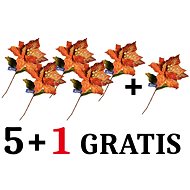 EverGreen set® Poinsettia gl. flower p.25, h.65cm, Set 5+1 Gratis - Christmas Decoration
