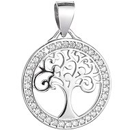 EVOLUTION GROUP 14017.1 crystal zircon AG pendant (AG 925/1000; 1g) - Charm