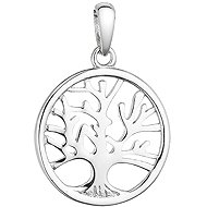 EVOLUTION GROUP 64017 AG pendant (AG 925/1000; 1g) - Charm