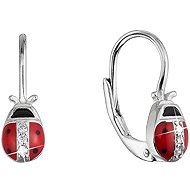 EVOLUTION GROUP 11534.1 crystal zircon ag earrings (AG 925 / 1000; 1 g) - Earrings