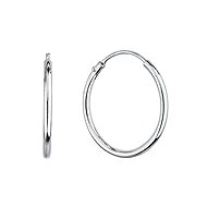 EVOLUTION GROUP 61002 AG earrings circles (AG 925/1000; 1 g) - Earrings