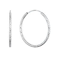 EVOLUTION GROUP 61006 AG earrings circles (AG 925/1000; 2 g) - Earrings