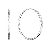 EVOLUTION GROUP 61007 AG earrings rings (AG 925/1000; 2 g) - Earrings