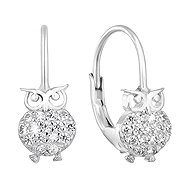 EVOLUTION GROUP 11219.1 crystal zircon ag flap earrings (AG 925/1000; 1 g) - Earrings