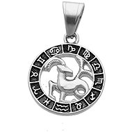 Ewena Capricorn pendant 22 Dec to 20 Jan BV11 - Charm