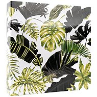 Lotmar PP-46500 Monstera 2 green PL - Photo Album