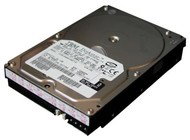 Hitachi (IBM) 80GB - 7200rpm 2MB IC35L080AVVA07 - Hard Drive