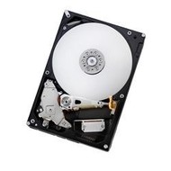 Hitachi Deskstar T7K1000 500GB - Hard Drive
