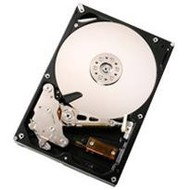 Hitachi (IBM) Deskstar T7K1000 640GB 16MB - Hard Drive
