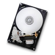 Hitachi (IBM) Deskstar 7K1000 1TB SATA3G 16MB - Hard Drive