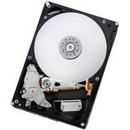 Hitachi (IBM) Deskstar E7K1000 750GB SATA II 32MB - Hard Drive