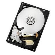 Hitachi 3.5" Deskstar T7K1000.C 500GB - Hard Drive